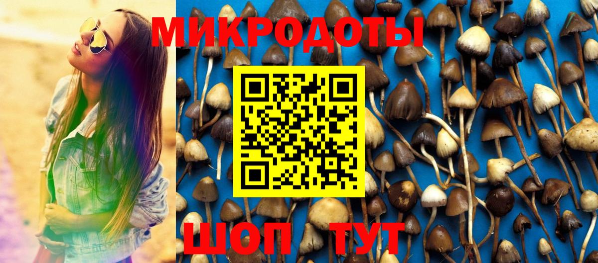 Псилоцибиновые грибы Cubensis Арсеньев